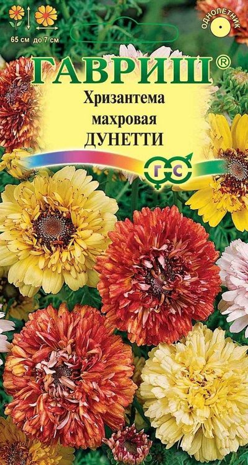 Хризантема Дунетти 0,5г Устойчив к заморозкам Ц Гавриш