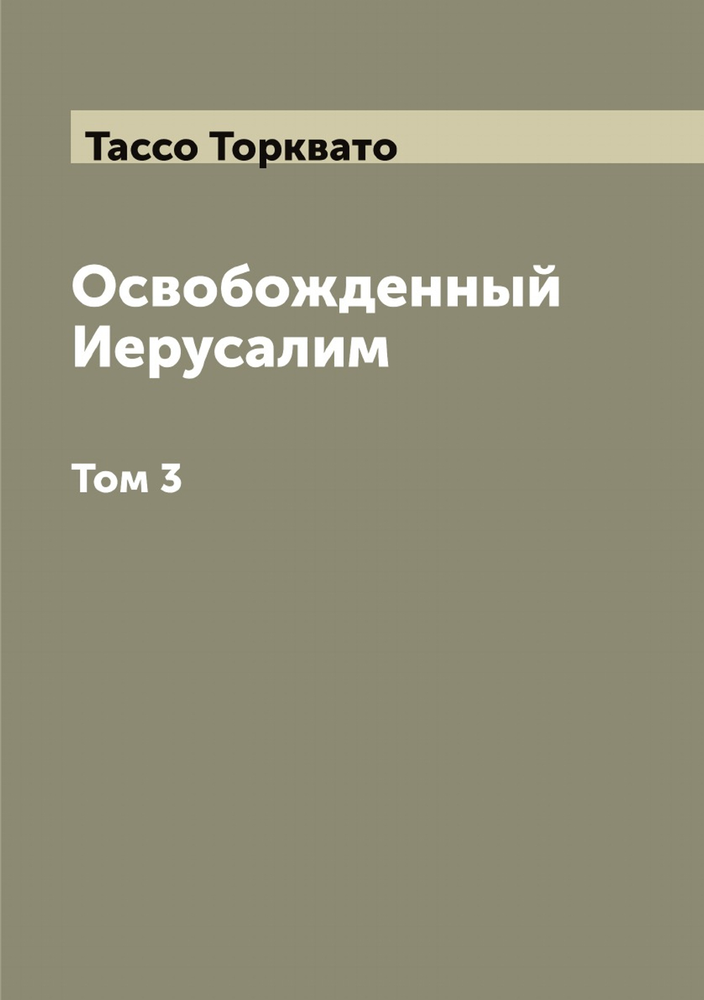 Освобожденный Иерусалим. Том 3 | Тассо Торквато