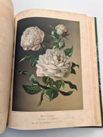 "Nestel`s Rosengarten. [  Сад роз Нестела]". E. Schweizerbartsche Verlagshandlung. 1869г.