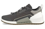 Ecco Biom 2 0