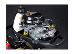 4х-тактный лодочный мотор SUZUKI DF2.5S