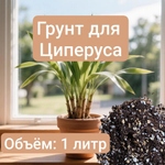 Грунт для Циперуса 1 литр