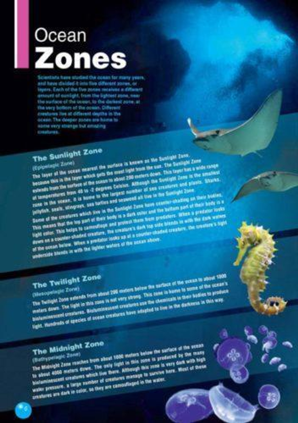 The Bottlenose Dolphin. А1/А2 (5-7 класс) Книга для чтения с доступом к интерактивному приложению