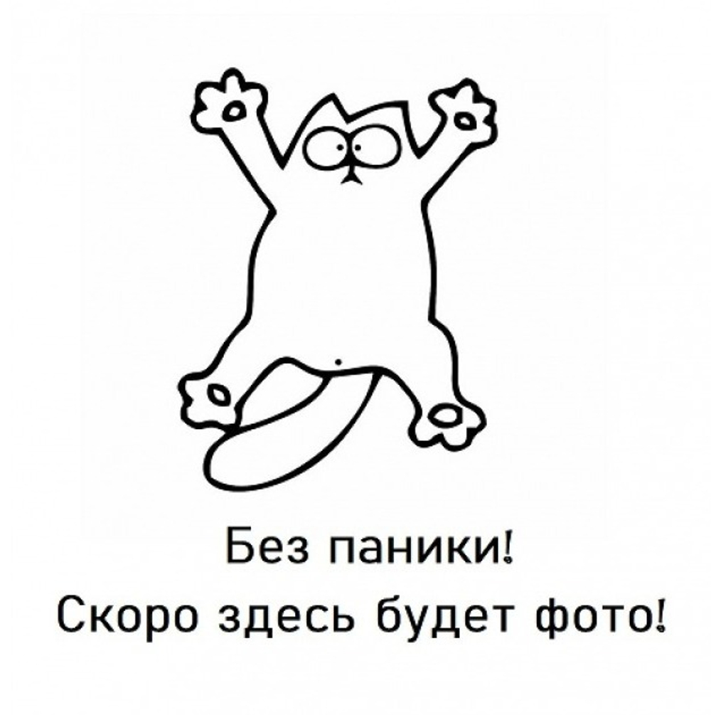 Дверь-купе ARISTO AVERS, зеркало, профиль шампань матовая