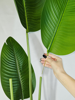 Искусственная стрелиция — процесс сборки декоративного растения для интерьера и дома