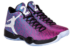 Кроссовки Jordan Air Jordan 29 Riverwalk