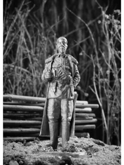 Оловянный солдатик Ковпак С. А.