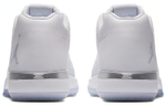 Кроссовки Jordan Air Jordan 31 Low White Pure Platinum