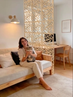 Ширма перегородка для зонирования