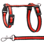 Комплект шлейка и поводок для кролика из капрона "Ушастик", 140*220*80; 10*1200мм, Gamma