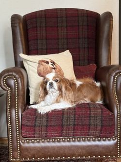 Кресло "Корнер Рэд" с кожаными подлокотниками