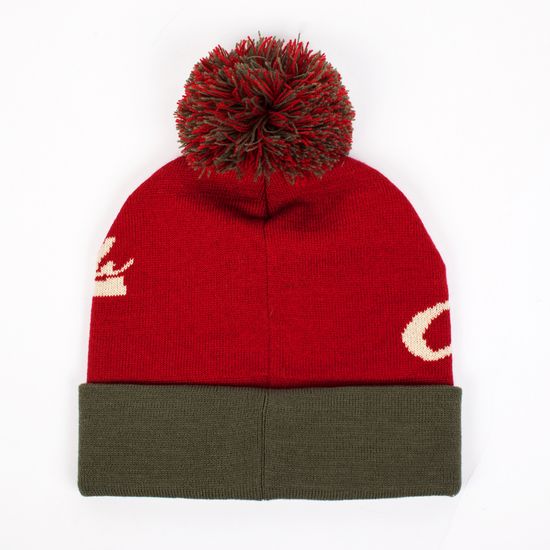 Шапка  ЗАПОРОЖЕЦ  Logo Beanies RED/GREEN