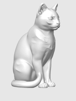 Европейская короткошерстная кошка