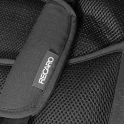 Прогулочная коляска Recaro Lexa Elite Prime Mat Black с дождевиком