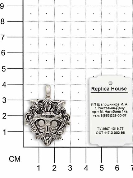 Фото на размерной сетке подвески амулета маска Одина из серебра.