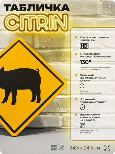 Табличка прикольная "Осторожно, свинья" на дверь и стену, информационная и предупреждающая, декоративный знак, 24,5х24,5 см, пластиковая, Айдентика Технолоджи
