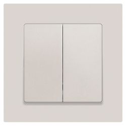 Переключатель Intro Accent 6-107-06 двойной, 10А-250В, IP20, СУ, AL/CU, перламутр | Intro