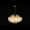 Подвесная люстра Aployt Aurora APL.845.03.13
