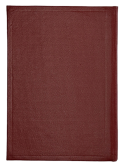 Замятин Е. Блоха. Игра в четырех действиях. Ленинград: Мысль 1926г.