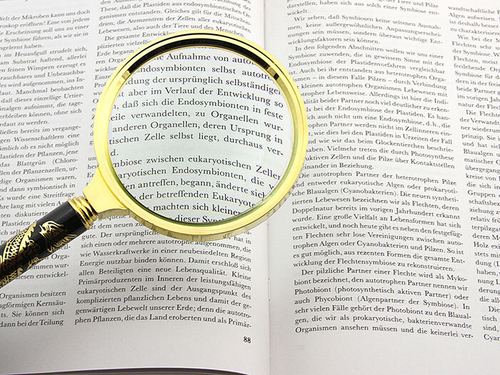 Лупа L90 (диам. 90мм, 5х, сувенирная)