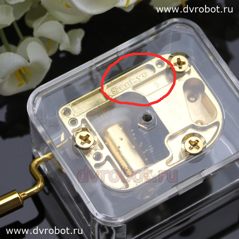 Sankyo“Воздушный замок”