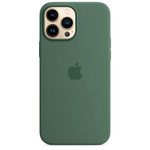 Силиконовый чехол с поддержкой MagSafe Apple Silicone Case для iPhone 13 Pro Max, Eucalyptus (Эвкалипт)