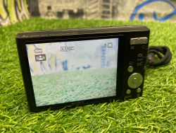 Sony W550