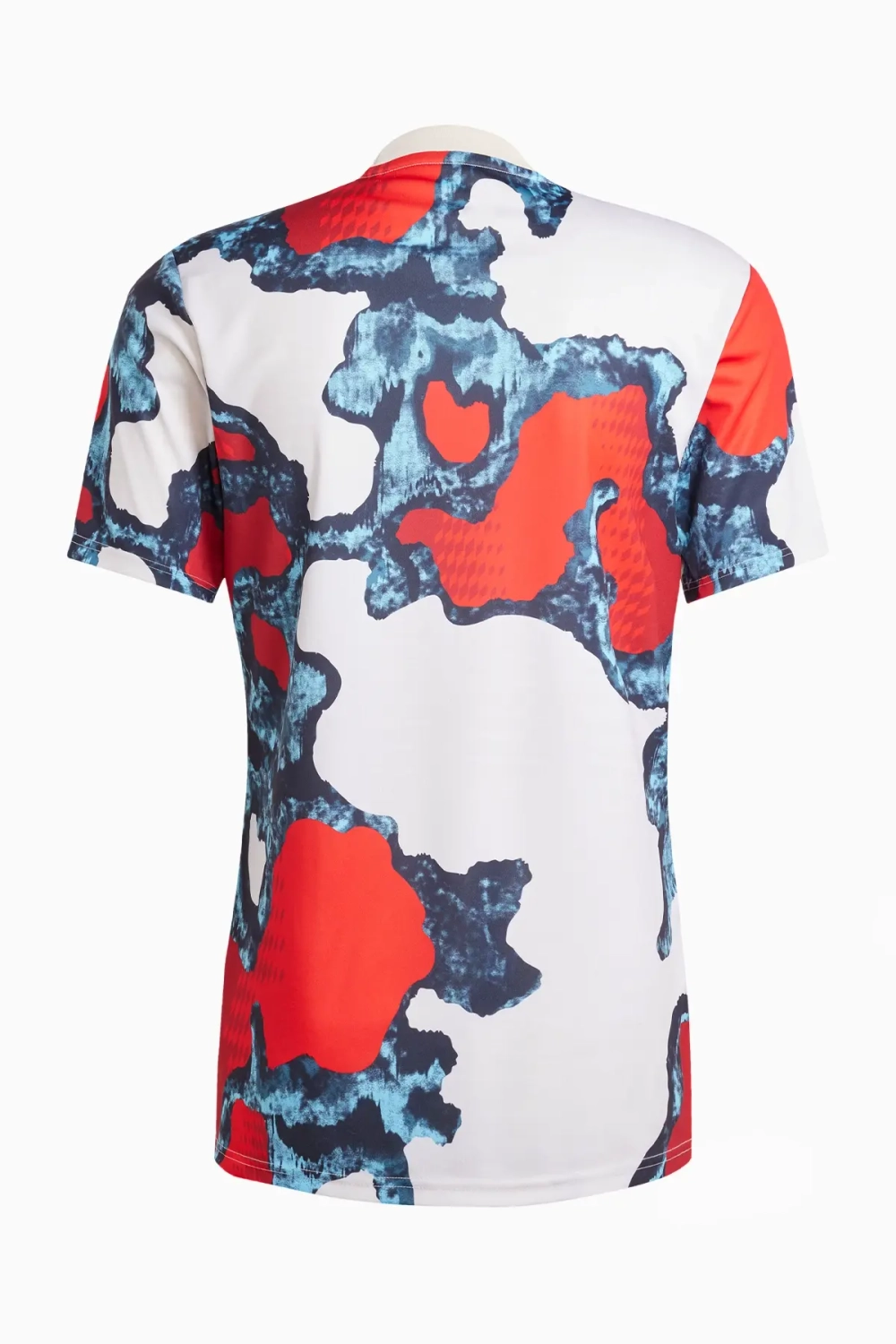 Футболка adidas FC Bayern 24/25 Pre-Match - многоцветный