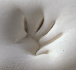 Матрас ортопедический Lordflex's Memory 180х200 до 75 кг Италия эффект памяти