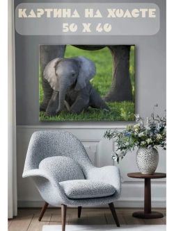 Картина на стену 40 X 50 Слоненок