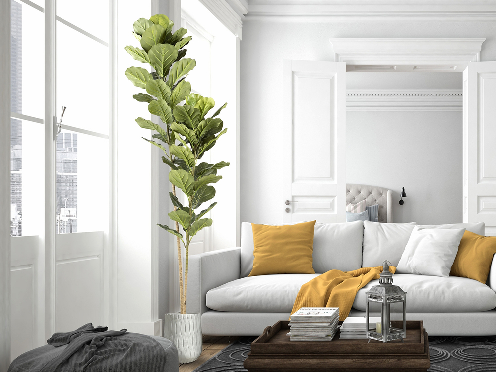 Higuera violin Искусственное растение H200