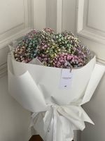 Гипсофила радужная в оформлении