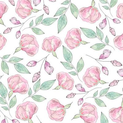 Розовые гвоздики