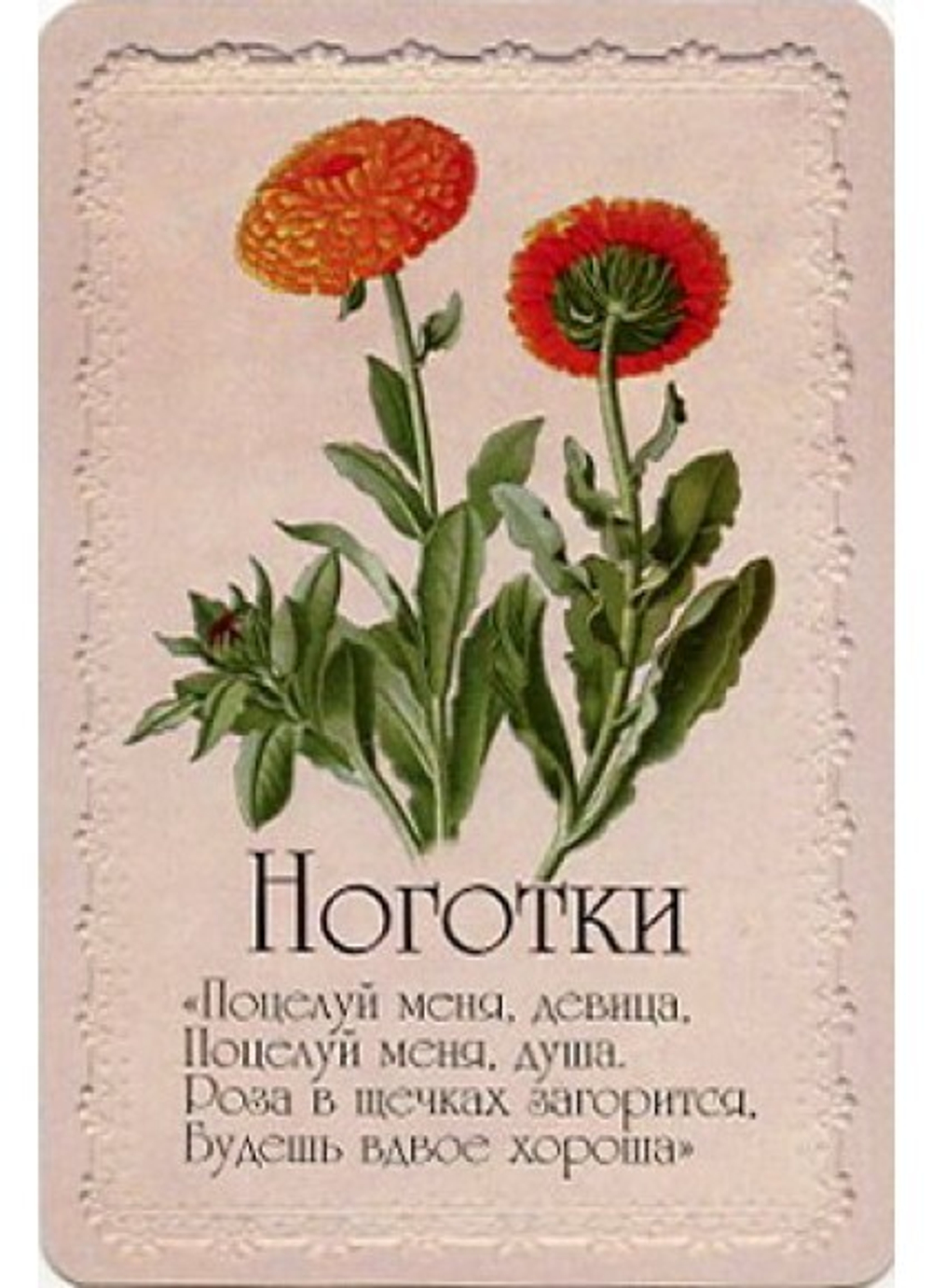 Оракул Селам или Язык Цветов