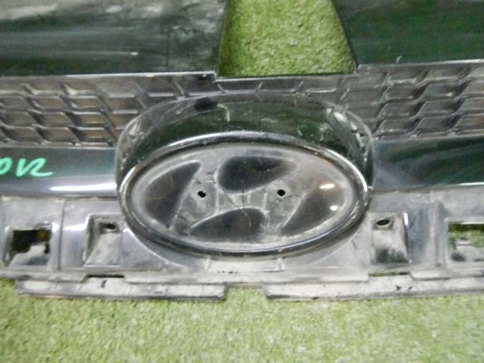 DSCN9979.jpg
