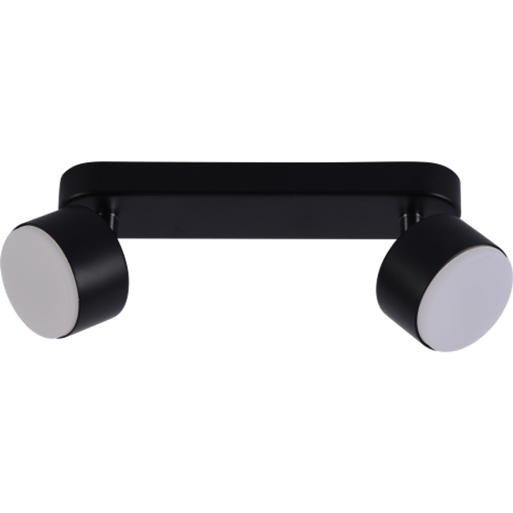 Светильник настенно-потолочный спот Rivoli Alesta 7079-702 2хGX53 15 Вт поворотный | Rivoli