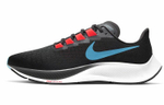 Кроссовки Nike Pegasus 37 Tpu