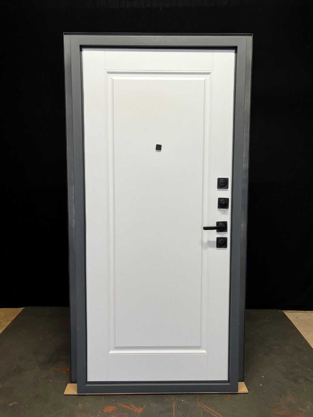 Дверь входная Палисад