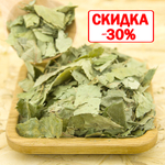 Береза повислая (лист)