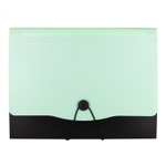 Папка-картотека Alingar, A4, 330х250 мм, на пуговице, пластик, 600 мкм, 13 отделений, папка-планшет, мятный клапан