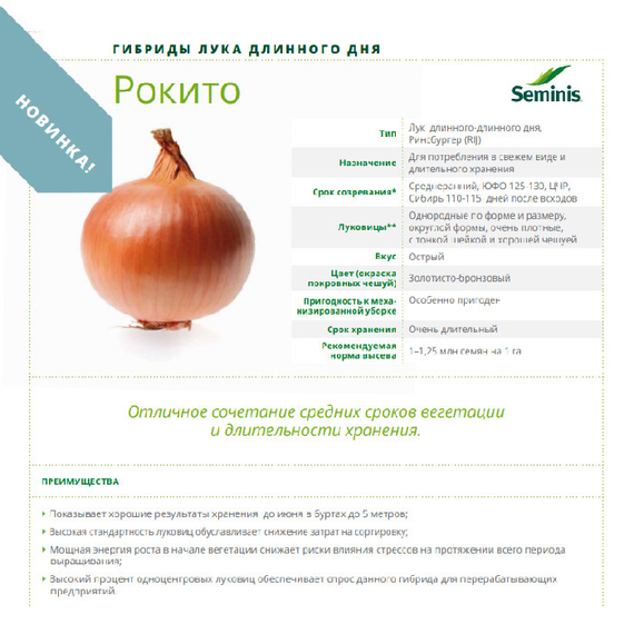 Рокито семена лука репчатого (Seminis / Семинис) – фото 7