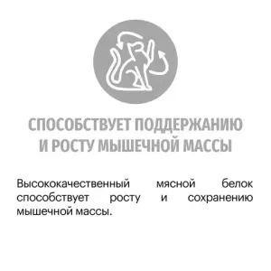 Уценка! Срок до 05.2024/ Сухой корм для кошек породы Британская короткошерстная, Karmy British Shorthair ADULT, с индейкой