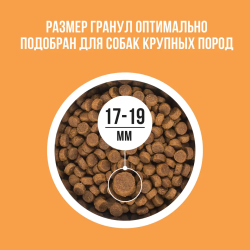 Сухой корм Bowl Wow для собак крупных пород, с индейкой, курицей, рисом и тыквой - 2 кг