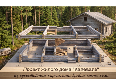 Проект Жилого дома