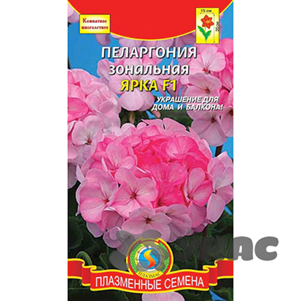 Пеларгония Ярка зональная 4шт.