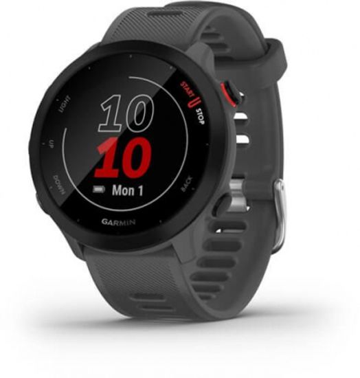 Часы для бега Garmin Forerunner 55 серые 010-02562-13