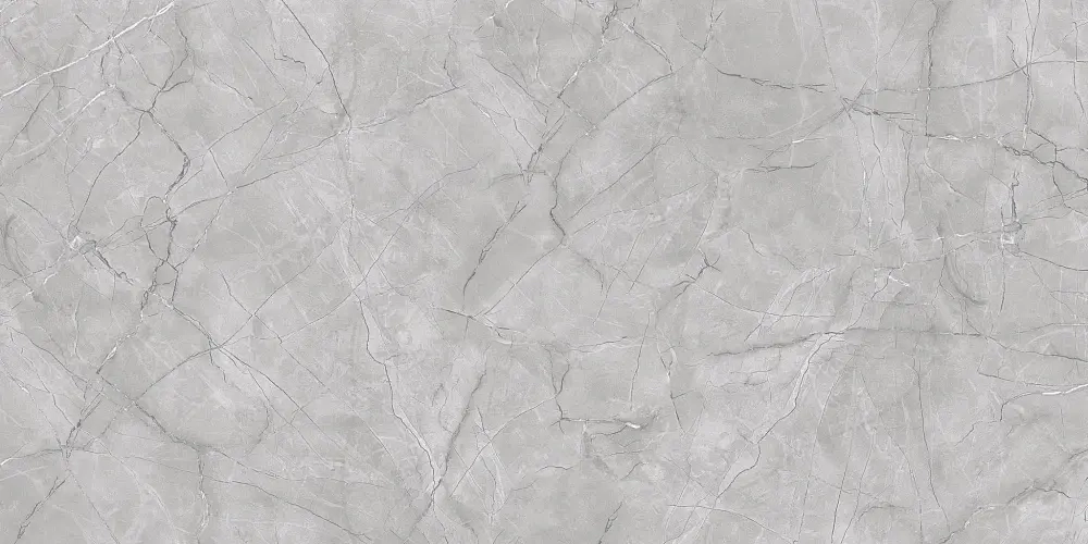 Керамогранит Primavera Vanity Grey Carving 60x120 см (CR231)