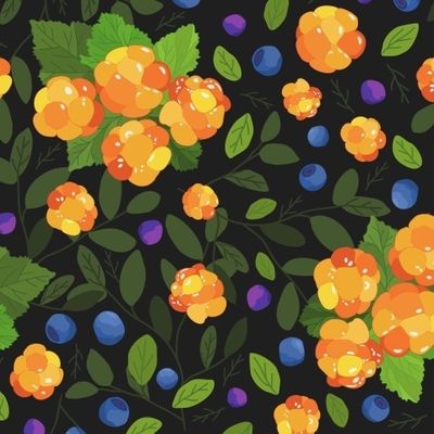 Черника и морошка