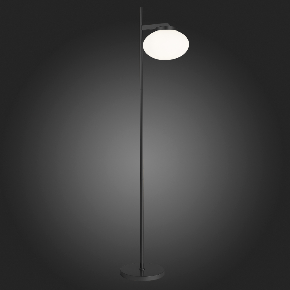 Торшер ST Luce Modica SL1503.405.01