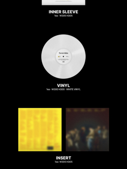 (ПРЕДЗАКАЗ) Альбом ENHYPEN - THE SIN : BLISS 8th Mini Album VINYL Version